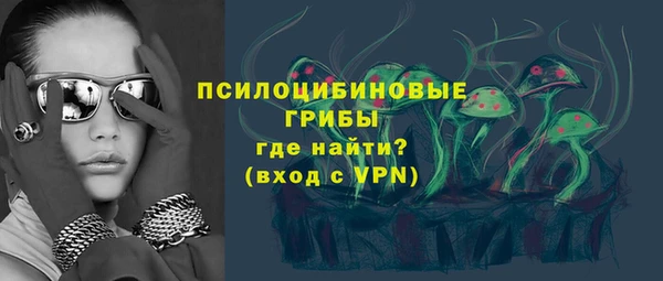 2c-b Горнозаводск