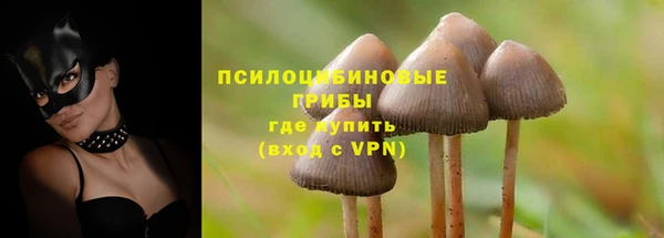 2c-b Горнозаводск