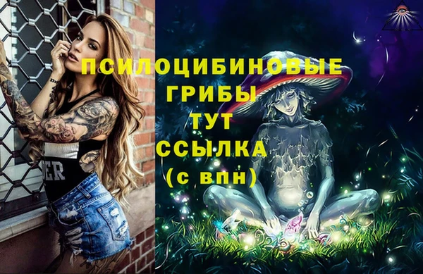 экстази Горняк