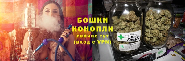 2c-b Горнозаводск