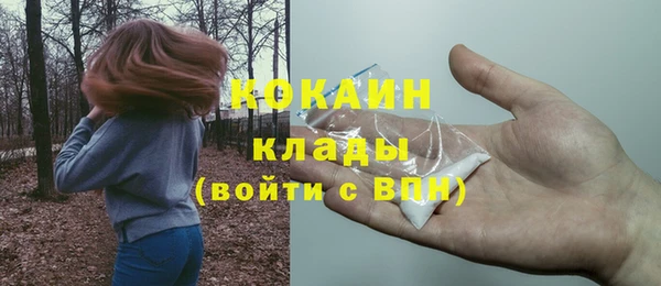 2c-b Горнозаводск
